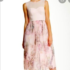 Ted Baker London New Dress